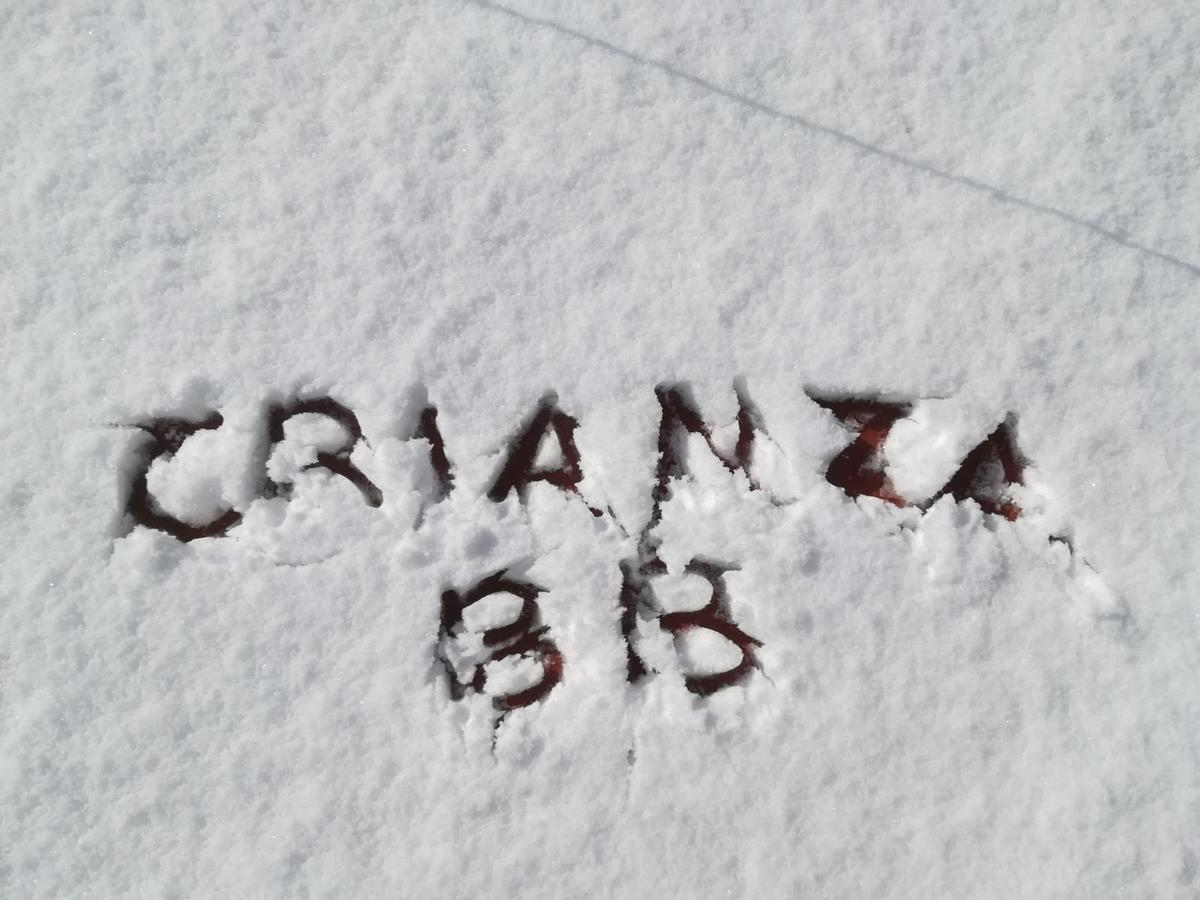 Crianza B&B Наполи Екстериор снимка